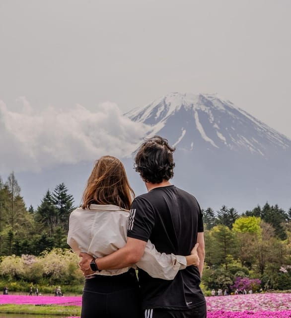 From Tokyo : Mt Fuji Private Sightseeing Tour - Transportation Options