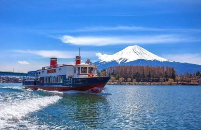 From Tokyo : Mt Fuji Private Sightseeing Tour - Communication With Driver
