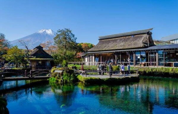 From Tokyo : Mt Fuji Private Sightseeing Tour - What to Bring