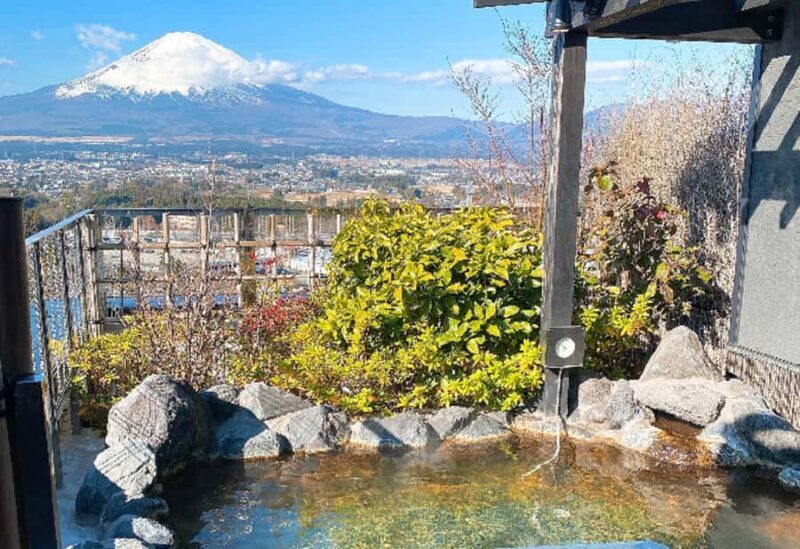 From Tokyo: Mt. Fuji Skiing And Onsen Experience 1-Day Tour - Who Is This Tour Best For?