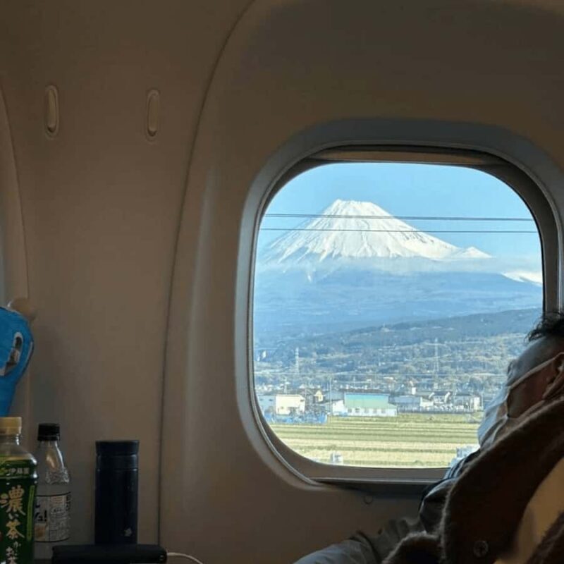 From Tokyo: Must-Visit Mount Fuji Highlight Full-Day Tour - A Deep Dive into the Experience  