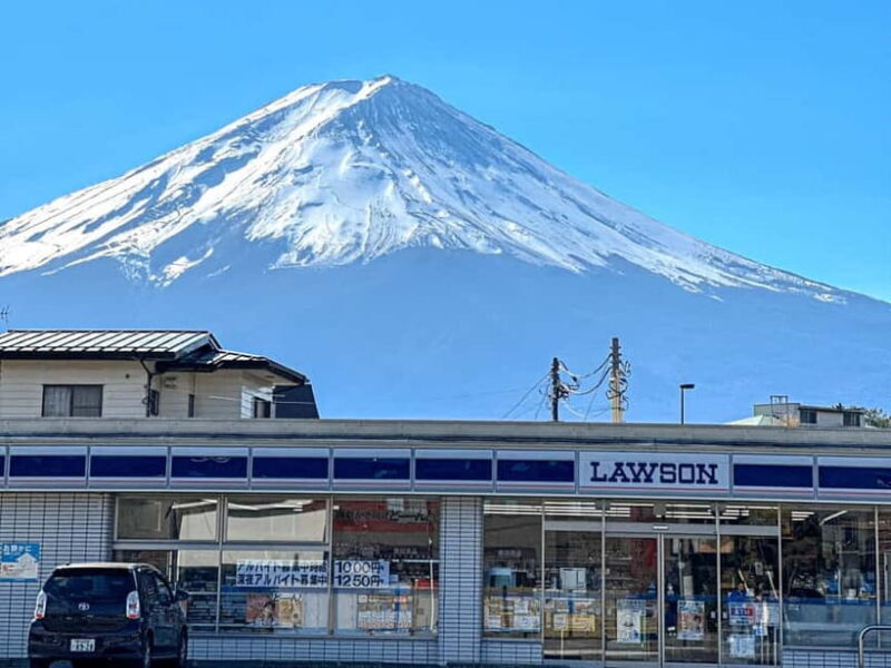 From Tokyo: Must-Visit Mount Fuji Highlight Full-Day Tour - An In-Depth Look at the Tour Experience