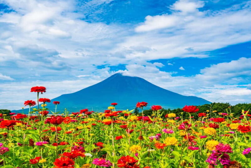 From Tokyo: Must-Visit Mount Fuji Highlight Full-Day Tour - FAQ