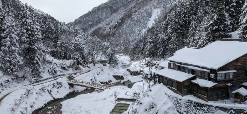 From Tokyo: Nagano Day Private Tour With English Driver - FAQ