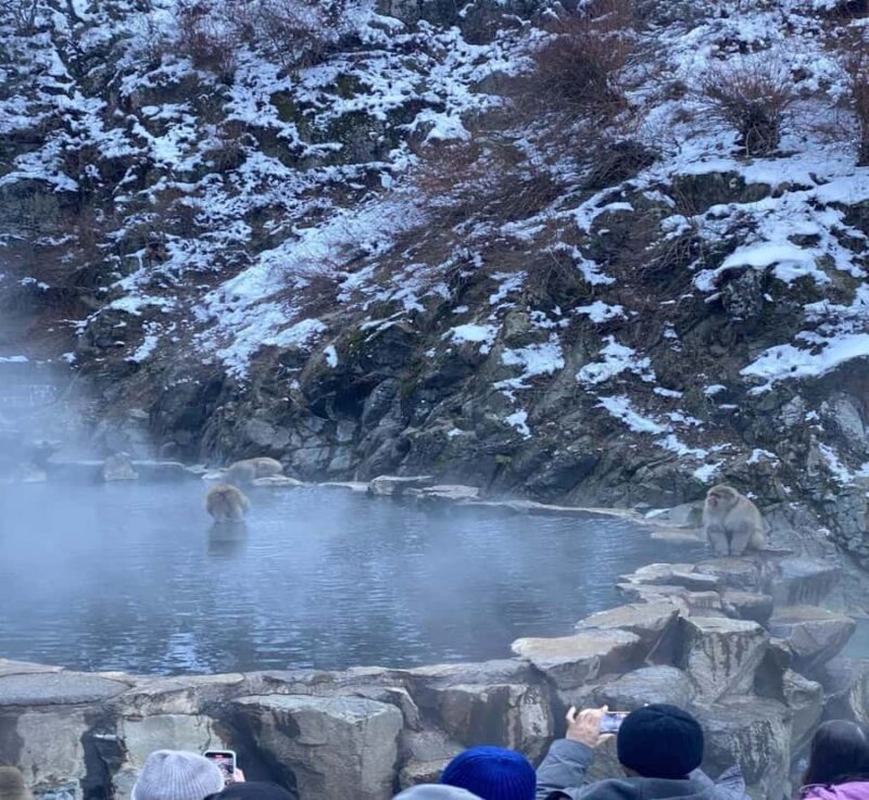 From Tokyo: Nagano Private Tour with English-Speaking Driver - The Sum Up