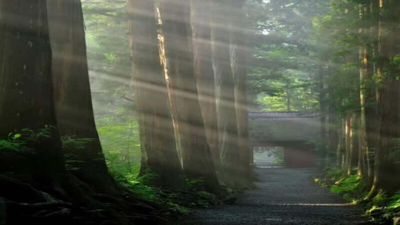 From Tokyo: Nagano Private Tour with English-Speaking Driver - FAQ