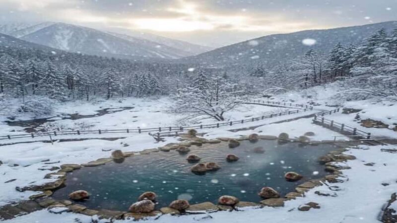 From Tokyo: Nagano Private Tour with English-Speaking Driver - The Sum Up