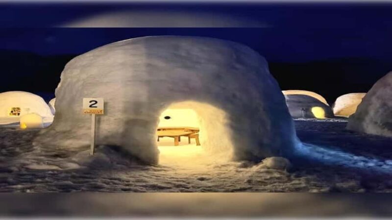 From Tokyo: Nagano Private Tour with Igloo Village & Monkeys - Good To Know