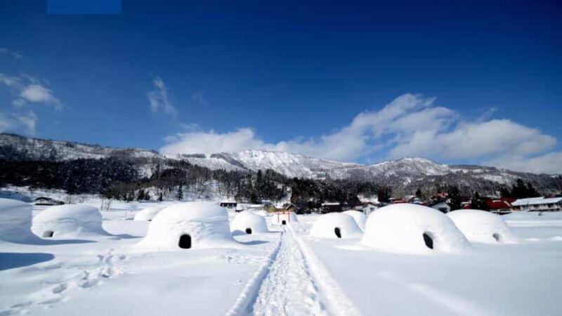 From Tokyo: Nagano Private Tour with Igloo Village & Monkeys - FAQ