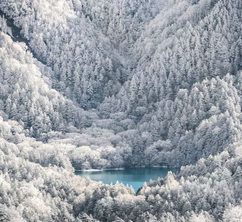 From Tokyo: Nagano Private Tour with Snow Monkeys - Final Thoughts