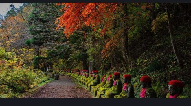 From Tokyo: Nikko 1 Day Private Tour With English Driver - Inclusion and Exclusions