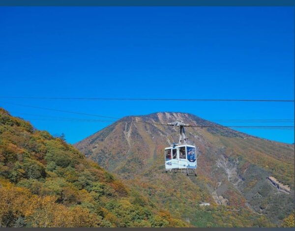 From Tokyo: Nikko 1 Day Private Tour With English Driver - Customer Feedback