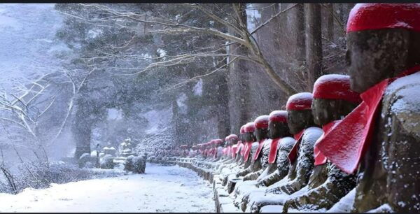 From Tokyo: Nikko 1 Day Private Tour With English Driver - Booking Details