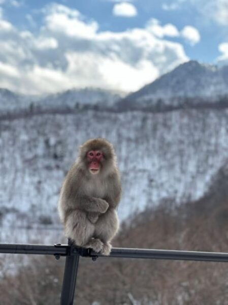 From Tokyo: Nikko 1 Day Private Tour With English Driver - Nearby Attractions