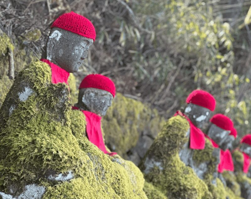 From Tokyo: Nikko Day Trip with Toshogu Shrine and Waterfall - Introduction to the Nikko Day Trip Experience