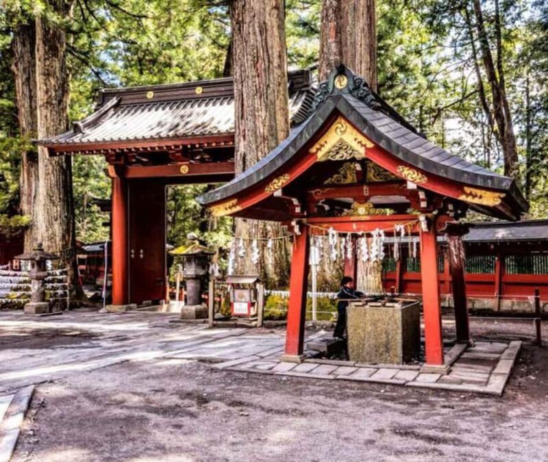 From Tokyo: Nikko Full Day Customizable Private Tour - A Deep Dive into the Experience
