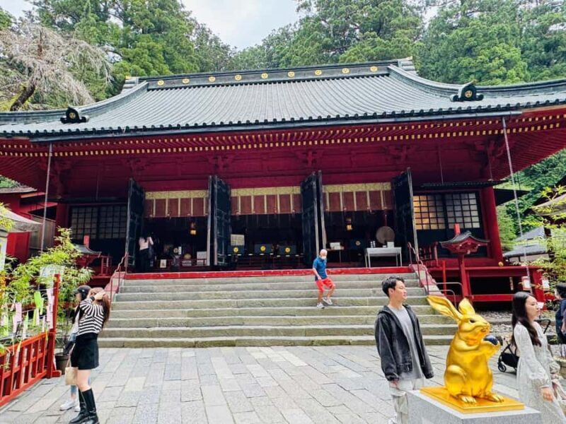 From Tokyo: Nikko Full Day Customize Tour With English Guide - Seamless Pickup & Transportation