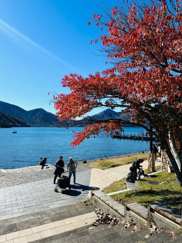 From Tokyo: Nikko Full Day Customize Tour With English Guide - Iconic Toshogu Shrine: Japan’s Sacred Treasure