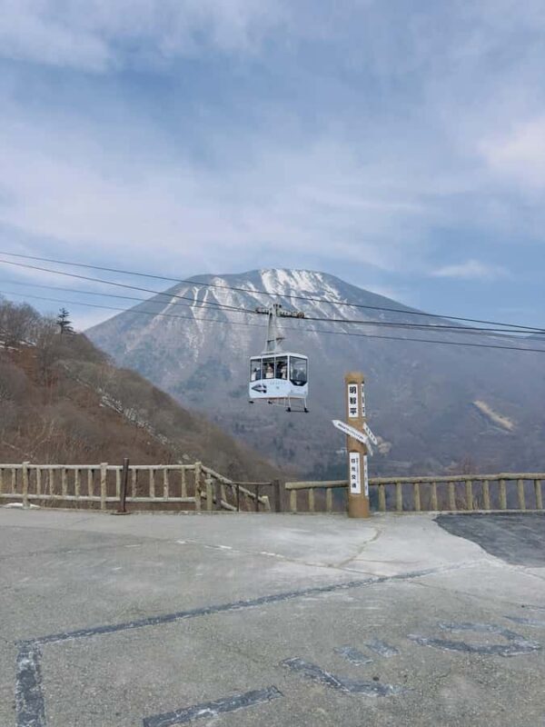 From Tokyo: Nikko Full Day Customize Tour With English Guide - Good To Know