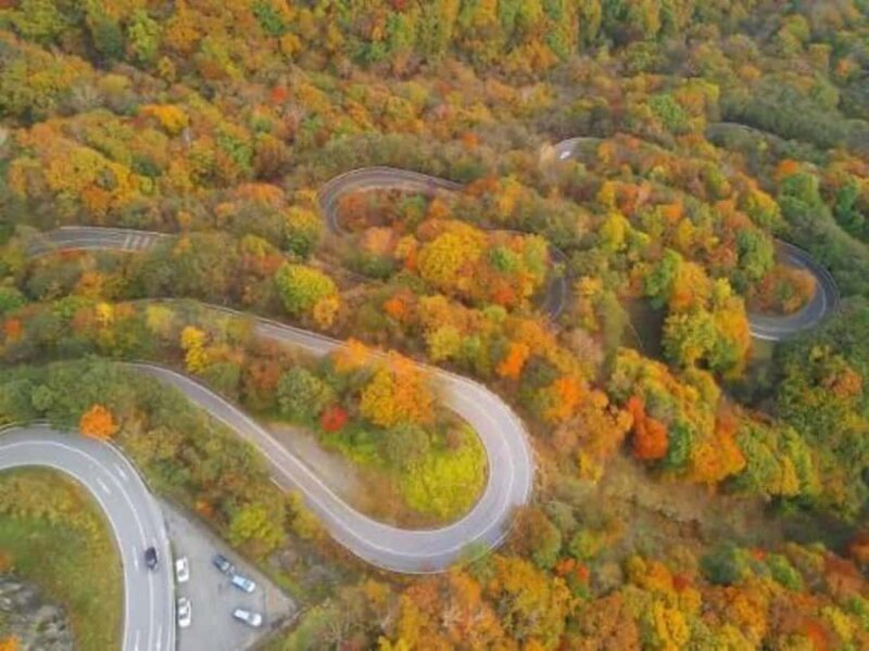 From Tokyo: Nikko Full Day Private Customizable Private Tour - Analyzing the Value