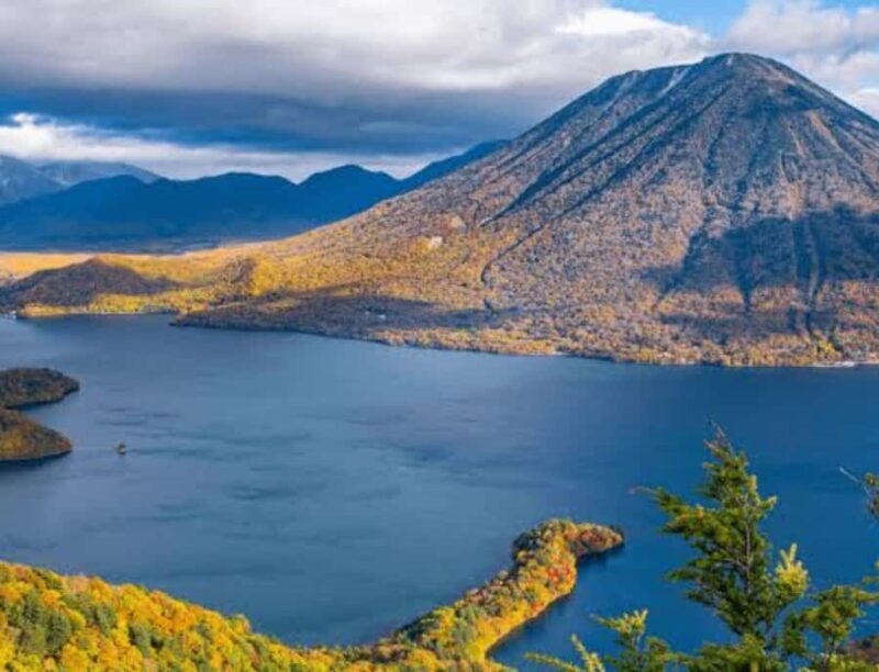 From Tokyo: Nikko Full Day Private Customizable Private Tour - Who Should Consider This Tour?