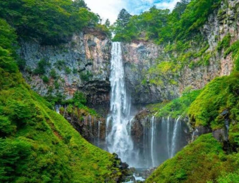 From Tokyo: Nikko Full Day Private Customizable Private Tour - What Reviewers Say