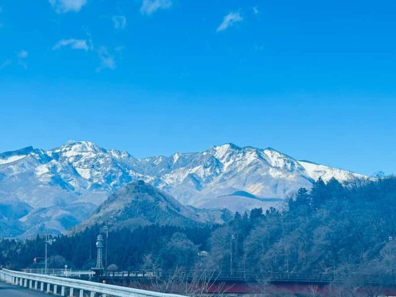 From Tokyo: Nikko Full Day Private (Customized Tour) - Who Should Consider This Tour?