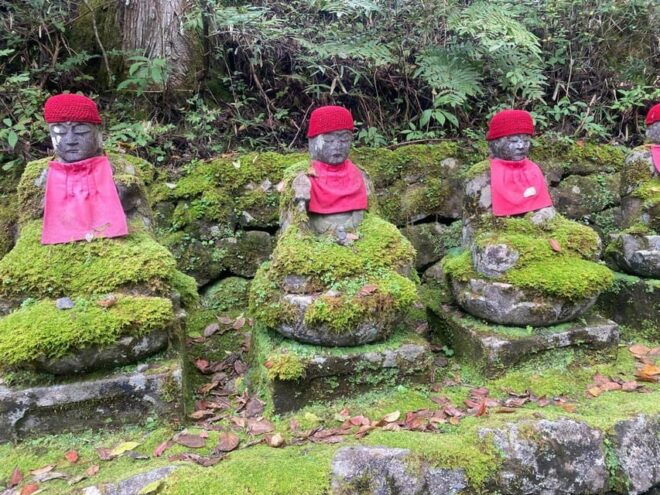 From Tokyo : Nikko Full Day Private Sightseeing Tour - Booking Information