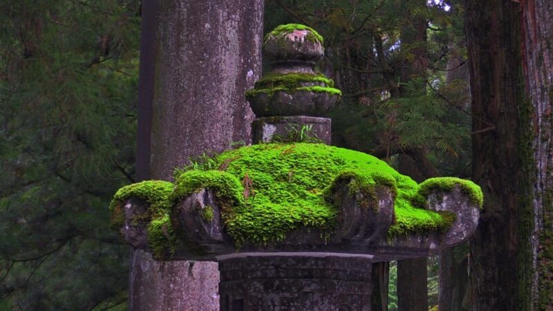 From Tokyo: Nikko Full Day Private Sightseeing Tour - Itinerary Breakdown: What You Can Expect