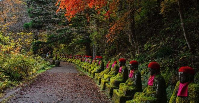 From Tokyo : Nikko Full Day Private Sightseeing Tour - Accessibility Features