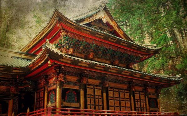 From Tokyo : Nikko Full Day Private Sightseeing Tour - Customer Feedback