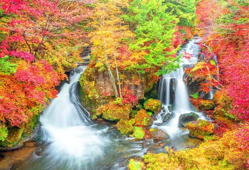 From Tokyo: Nikko Full Day Private Tour with English Guide - Why Choose a Private Tour to Nikko?