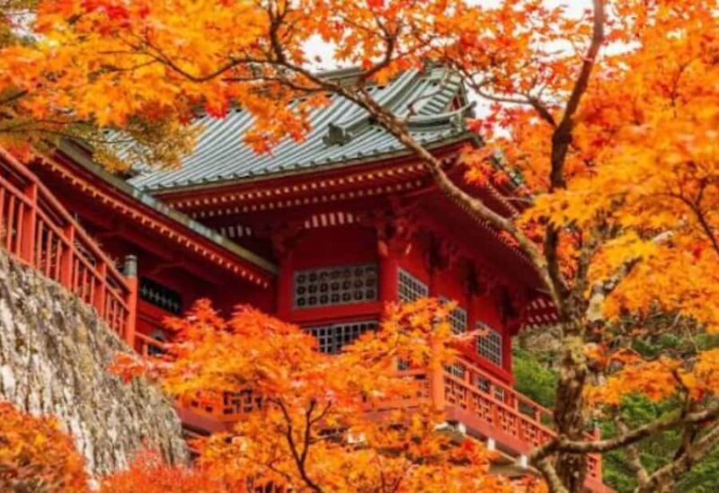 From Tokyo: Nikko Full Day Private Tour with English Guide - Why Choose This Tour?