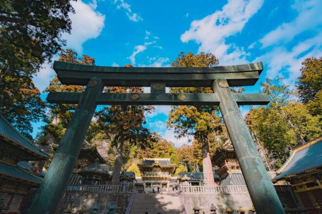 From Tokyo: Nikko Full-Day Sightseeing Trip - Cultural Insights
