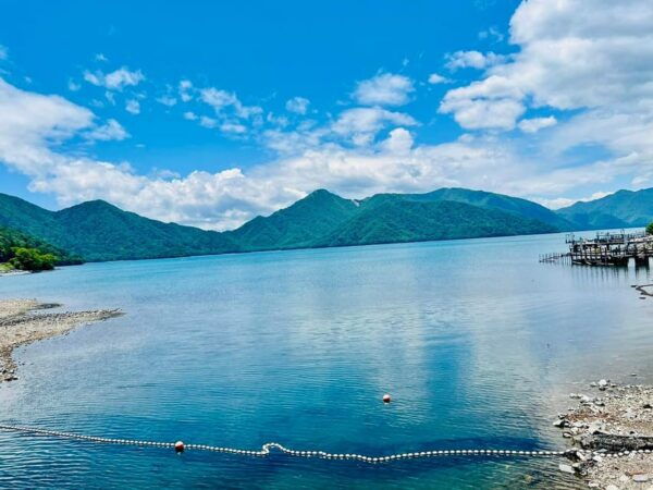From Tokyo: Nikko Full-Day Sightseeing Trip - Accessibility Features