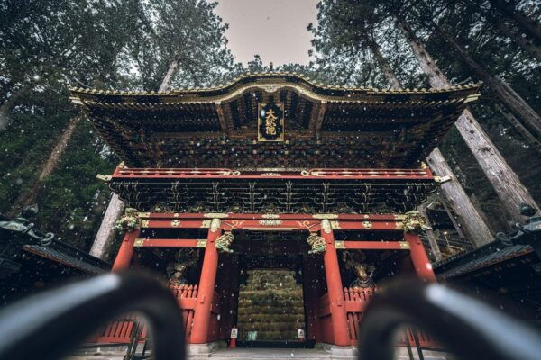 From Tokyo: Nikko Full-Day Sightseeing Trip - Customer Reviews