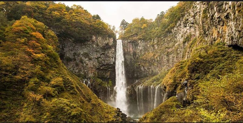 From Tokyo: Nikko Heritage Sights Private Day Tour - Logistics, Comfort, and Value