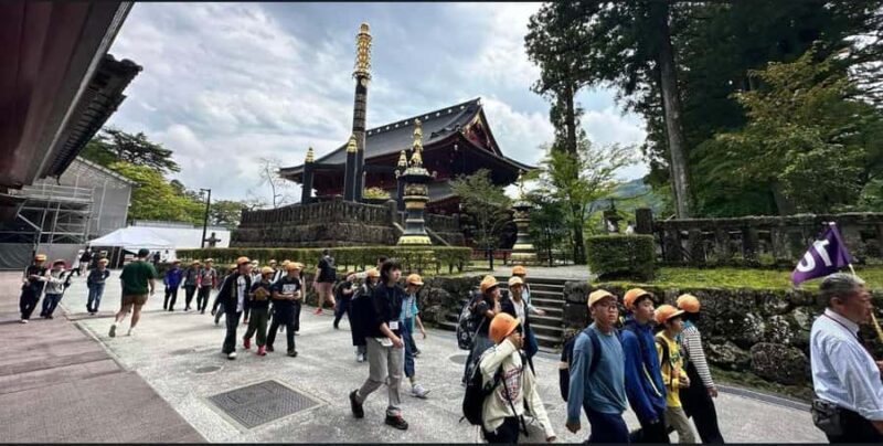 From Tokyo: Nikko Heritage Sights Private Day Tour - Who Will Love This Tour?