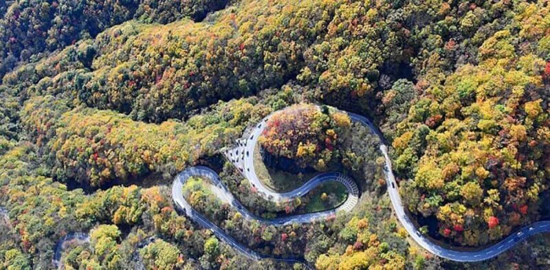 From Tokyo: Nikko Heritage Sights Private Day Tour - The Sum Up