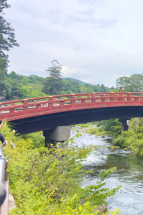 From Tokyo: Nikko Highlights One Day Private Tour - Good To Know
