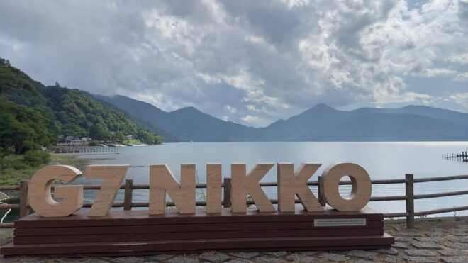 From Tokyo: Nikko Highlights One Day Private Tour - Inclusions and Benefits