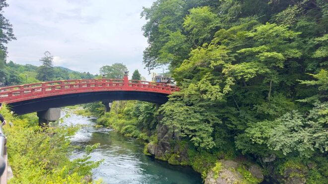 From Tokyo: Nikko Highlights One Day Private Tour - Important Information