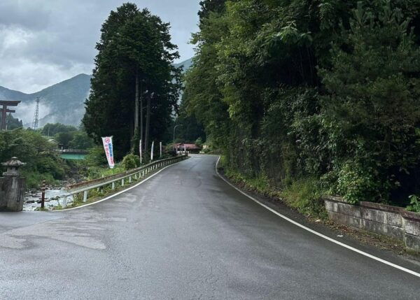 From Tokyo: Nikko Highlights One Day Private Tour - Customer Reviews