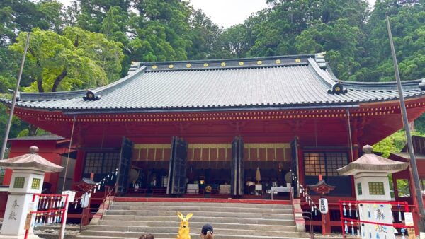 From Tokyo: Nikko Highlights One Day Private Tour - Frequently Asked Questions