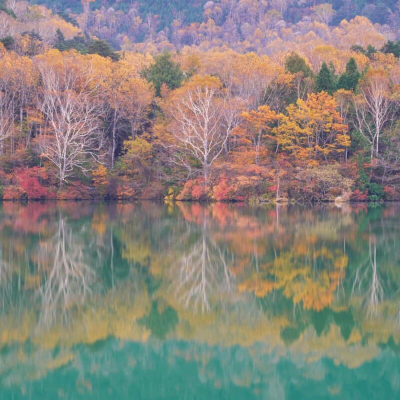 From Tokyo Nikko Lake Chuzenji & Toshogu Temple, Kegon Falls - Who Will Love This Tour?