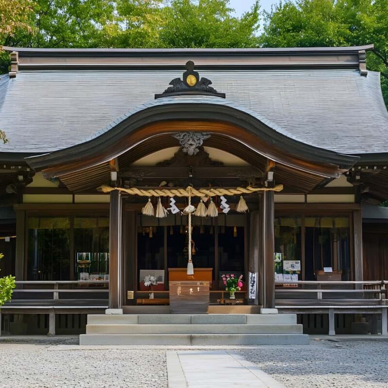 From Tokyo: Nikko National Park Private Full Day Tour In Car - The Experience: What You Can Expect