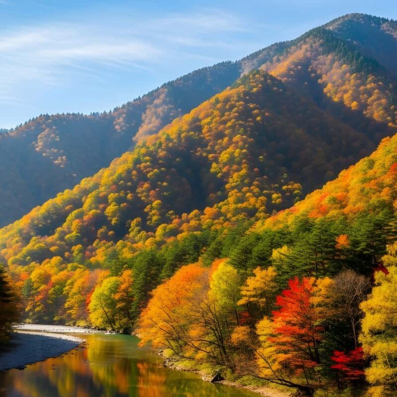 From Tokyo: Nikko National Park Private Full Day Tour In Car - Good To Know