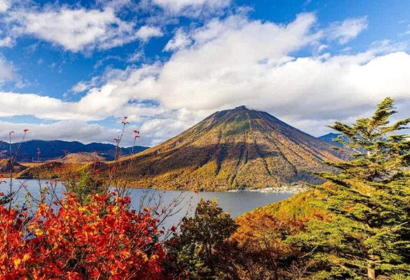 From Tokyo: Nikko One-Day Private Tour - Who Should Consider This Tour?