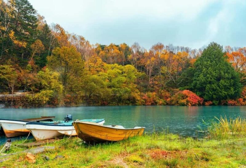 From Tokyo: Nikko One-Day Private Tour - The Value of This Tour for Different Travelers