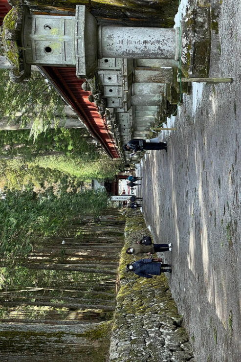 From Tokyo: Nikko One Day Private Tour With English Driver - Itinerary Highlights